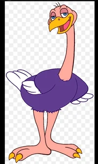Ozzie ostrich 