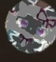 fake blacksprigatito