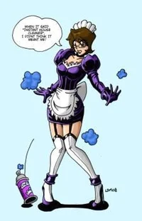 Spray Maid TF
