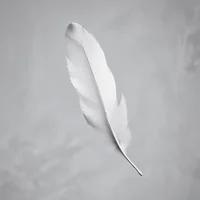 Feather