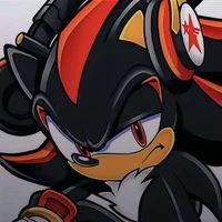 Shadow The Hedgehog