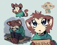 Billy Max Design Pro