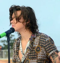harry styles - 2014