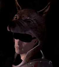 Vulpes Inculta 