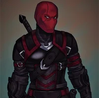 Red Hood the Rogue