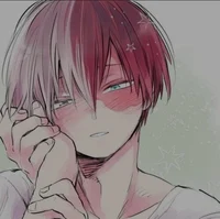 Shoto Todoroki