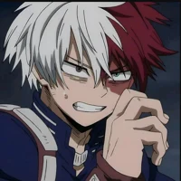 Shoto Todoroki