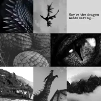 Dragon rider