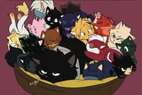 Adopting 1-A as cats