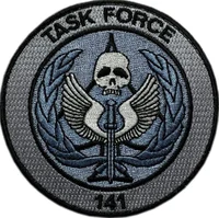 Task Force 141