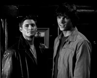 Winchesters