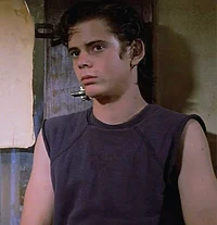 Ponyboy Curtis mlm
