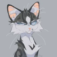 Jayfeather