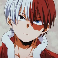 Shoto todoroki 0003