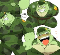 Flippy bara
