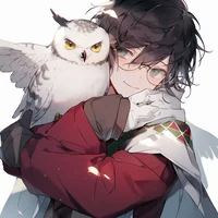 Гарри Поттер 