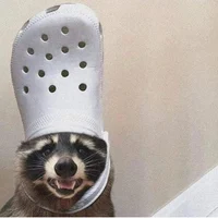 croc wearing raccoon