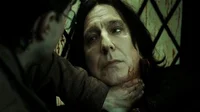Severus Snape
