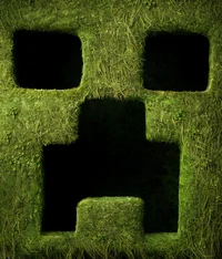 A Minecraft Movie