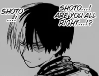 204- Shoto todoroki