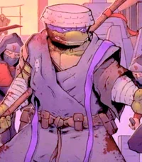 Donatello Last Ronin