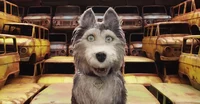 Duke - Isle of dogs 