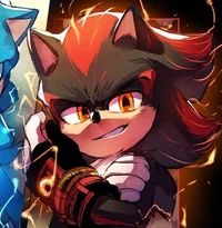 Shadow The Hedgehog 