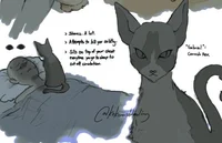 Alternate Cat Gabrie