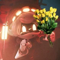 Serial Designacion N