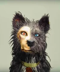 Gondo - Isle of dogs