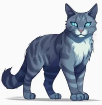 -Jayfeather-