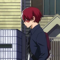 Shoto Todoroki - MHA
