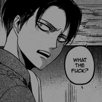 Levi Ackerman