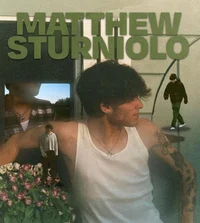 matt sturniolo