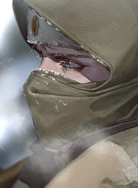 Winter Soldier Bf