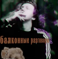 Даня Кашин DK 