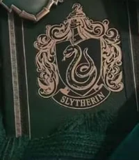 The Slytherin boys