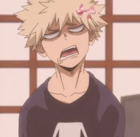 LDR Bakugo