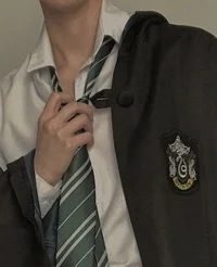 Slytherin chicos