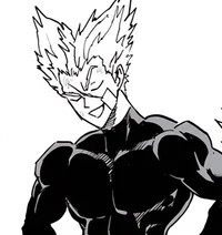 Garou