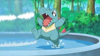 Totodile BF