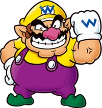 The wario game