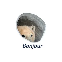 Bonjour