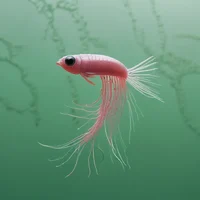 Micro parasite fish 