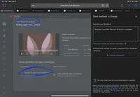 Demon slayer after 2