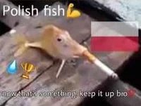 Polish Fish