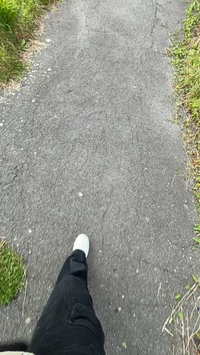 Le club des crocodil