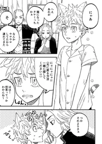 MiTake-Cat Takemichi