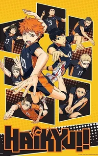 KARASUNO TEAM