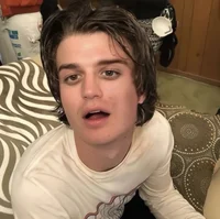 Steve Harrington 